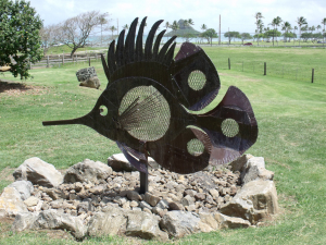 Kualoa Fish, 2011